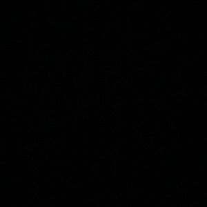 Shipping for White Daisy Sanrio Blanket for Ally Ann ONLY